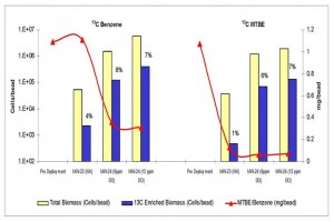 Excerpt 6: Multi-site Application of Molecular Biological Tool Reveals Variable MTBE and Benzene Biodegradation Potential